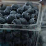 Chapingo y Alpasa desarrollarán berries propias hacia 2027 para elevar competitividad del sector