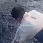 Pemex recolecta 128 toneladas de crudo en 165 km tras derrame en el Golfo; origen sigue sin definirse